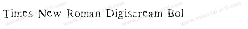 Times New Roman Digiscream Bold字体转换